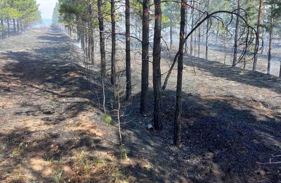В Бурятии ликвидировали лесной пожар в Заиграевском районе