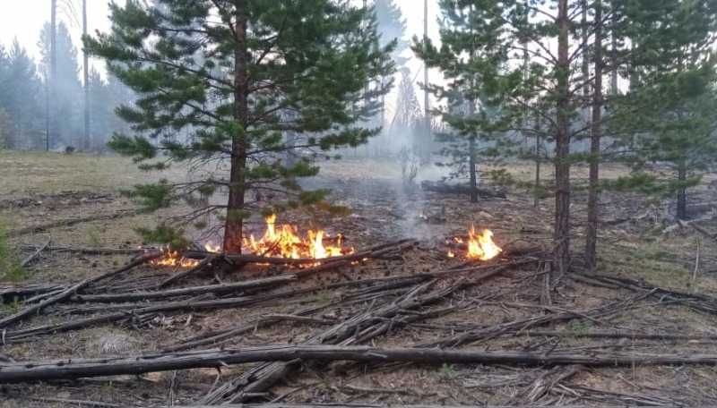 Более 500 человек тушили лесные пожары в Бурятии