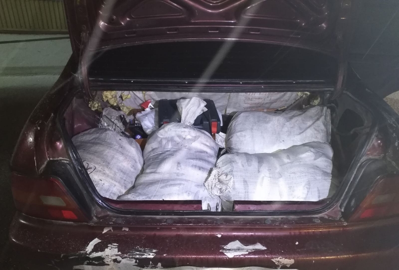 «Нашла около рыбзавода»: Улан-удэнка незаконно перевозила в автомобиле 8 мешков с омулем