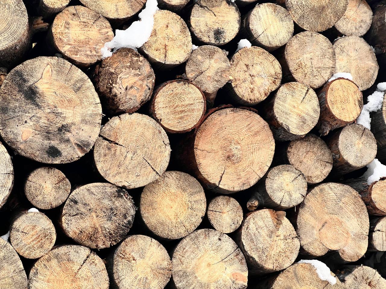 Глава Бурятии подписал постановление по субсидиям на покупку дров