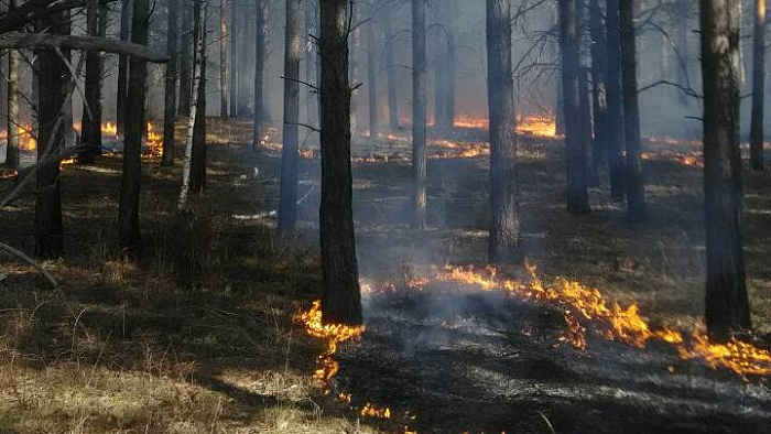В Бурятии из-за неосторожного обращения с огнём горит лес в труднодоступном месте