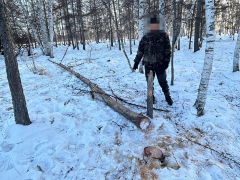 Житель Бурятии случайно убил фермера во время пилки деревьев