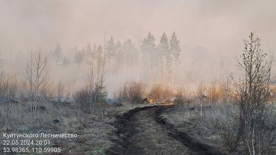«Ловят огонь»: В Баргузинском районе усиливают группировку для тушения лесных пожаров