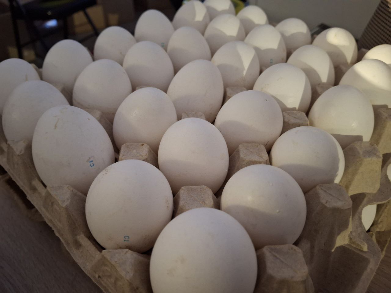 Яйца из Бурятии пользуются в Монголии особым спросом