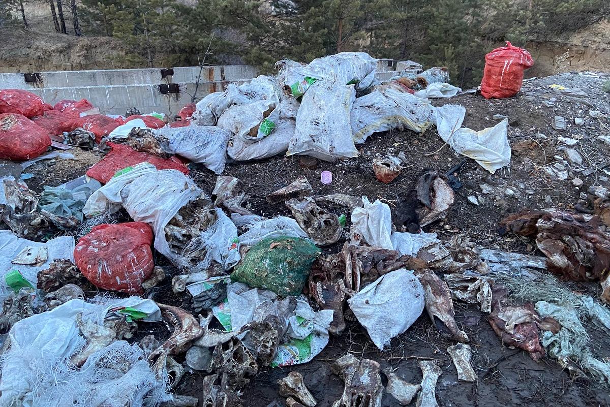 В Улан-Удэ ликвидировали свалку биологических отходов в Импульсе
