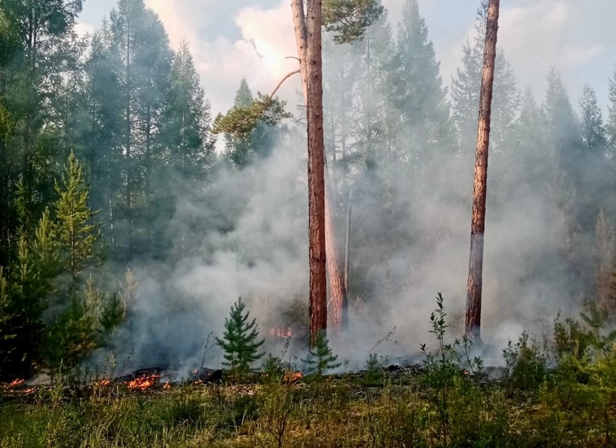 Грозы продолжают поджигать леса в Бурятии