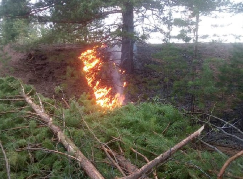 В Бурятии действует восемь лесных пожаров