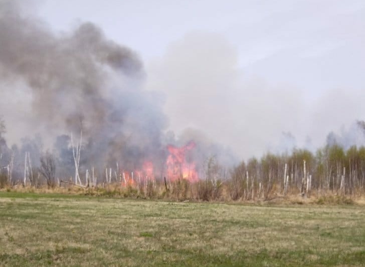 В Бурятии потушили три лесных пожара
