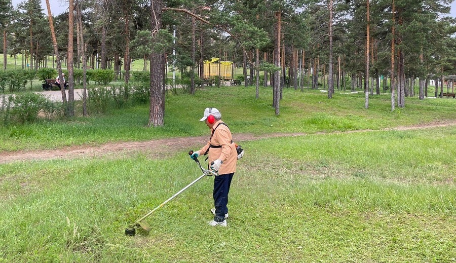 В Улан-Удэ будут жестче контролировать кошение травы