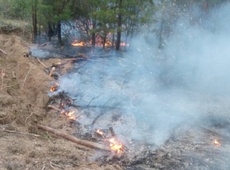 В Баргузинском и Муйском районах сложная ситуация с лесными пожарами