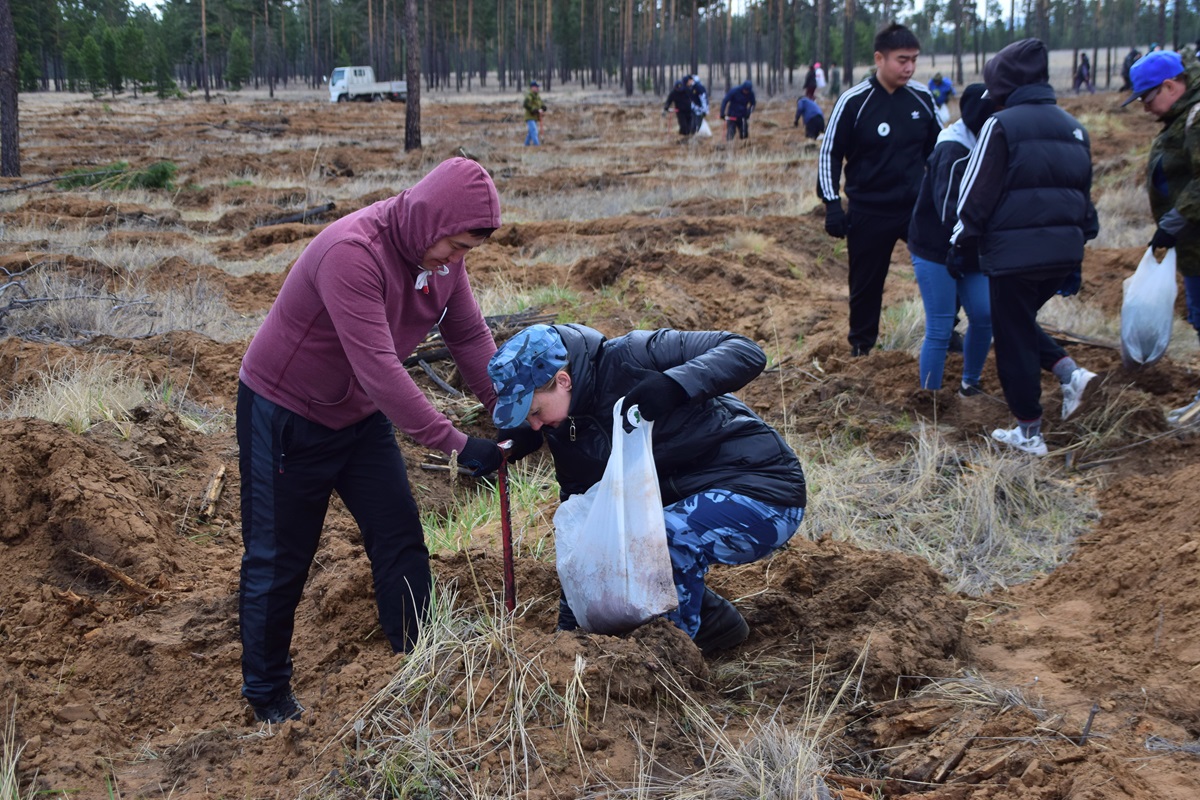 Сотрудники УФСИН Бурятии посадили деревья в память о погибших в годы ВОВ