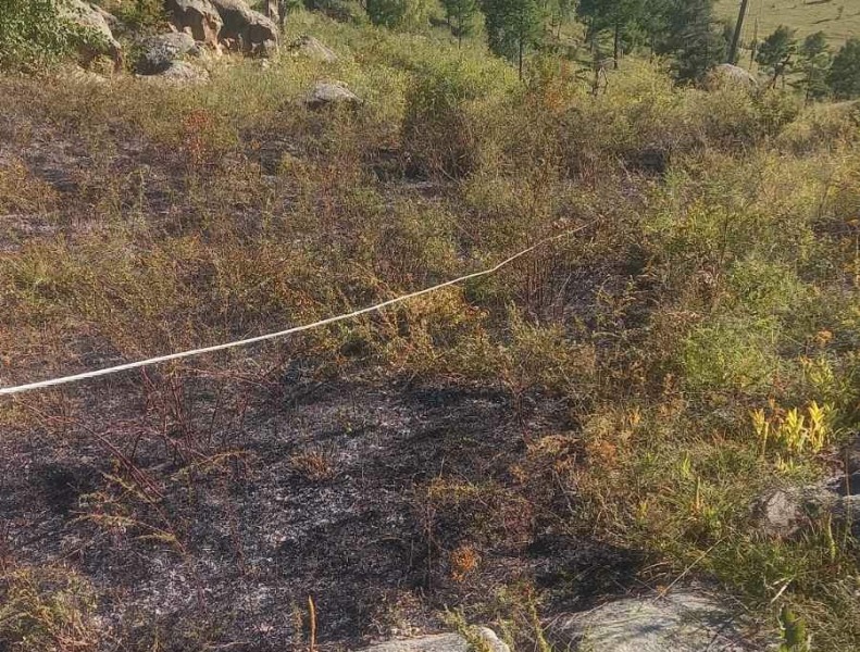 В Бурятии из-за повреждения линии электропередач загорелся лес