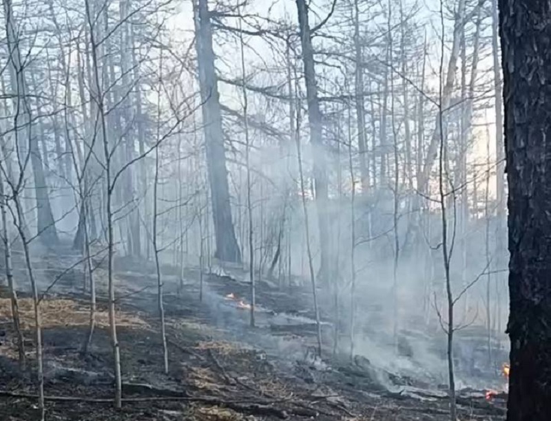 Прокуратура разбирается с пожаром в Тункинском нацпарке