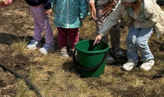 В Улан-Удэ детсадовцы посадили деревья с лесниками