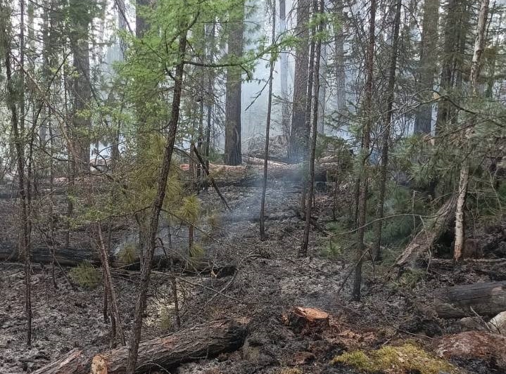 В Тункинском нацпарке горит лес