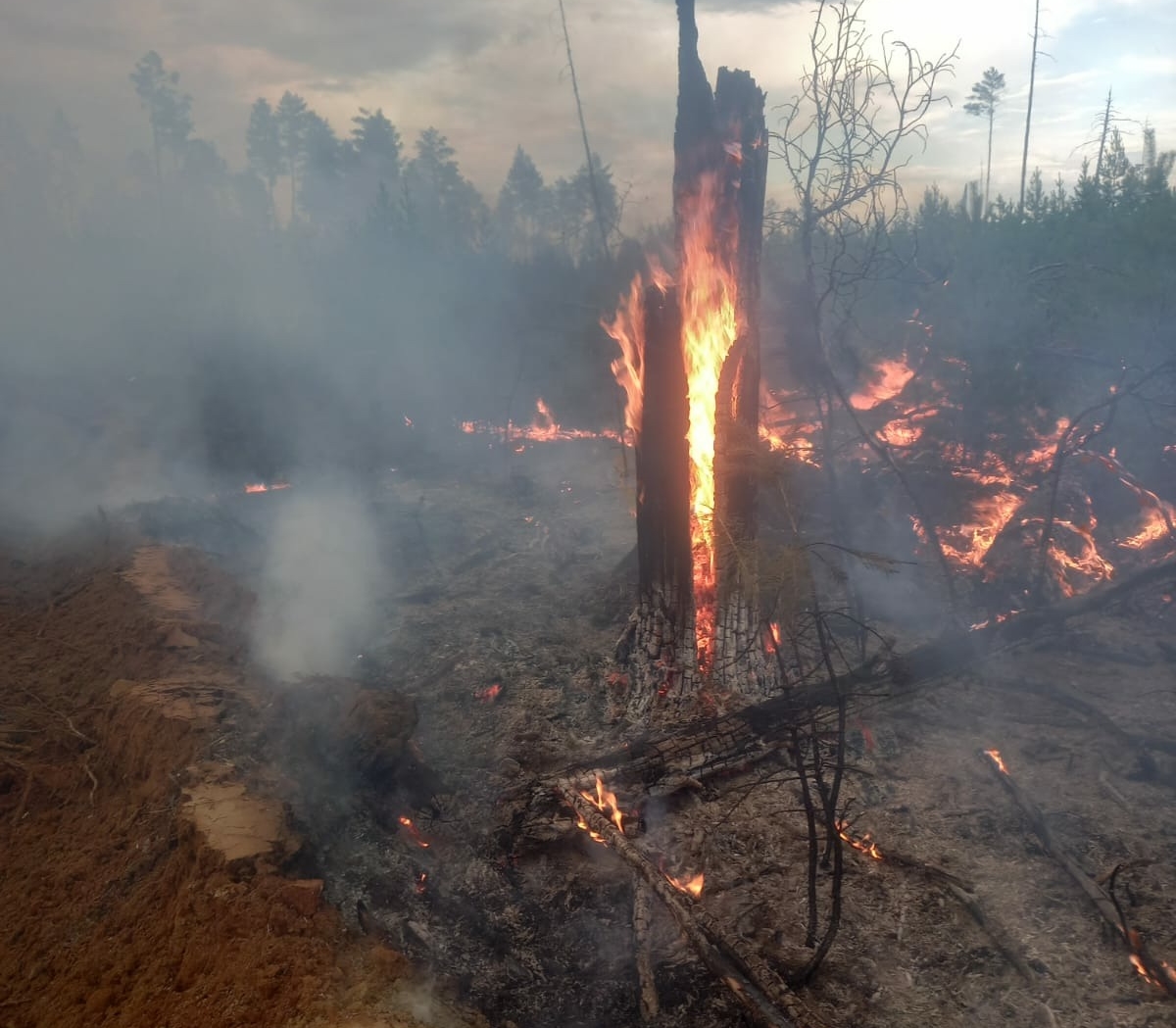 На севере Бурятии из-за грозы возникло три лесных пожара