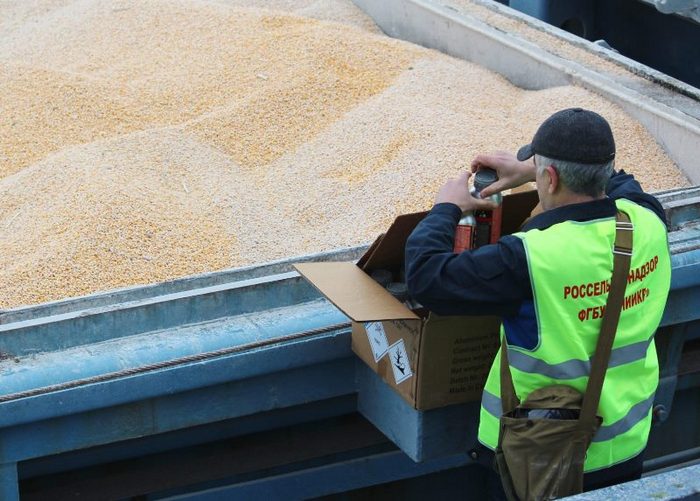 В Бурятии выявили нарушение при экспорте зерна в Монголию 