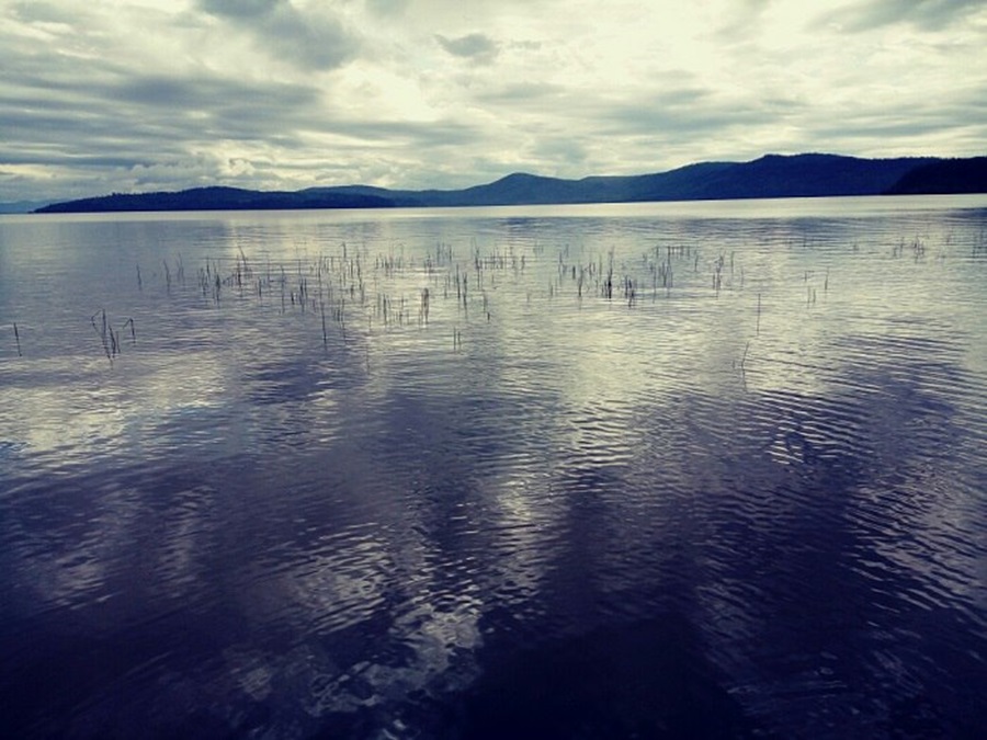 Жителей Бурятии просят не купаться в озере Котокель из-за опасной бактерии