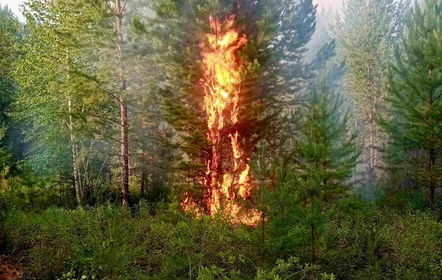 Более 20 лесных пожаров тушат в Бурятии