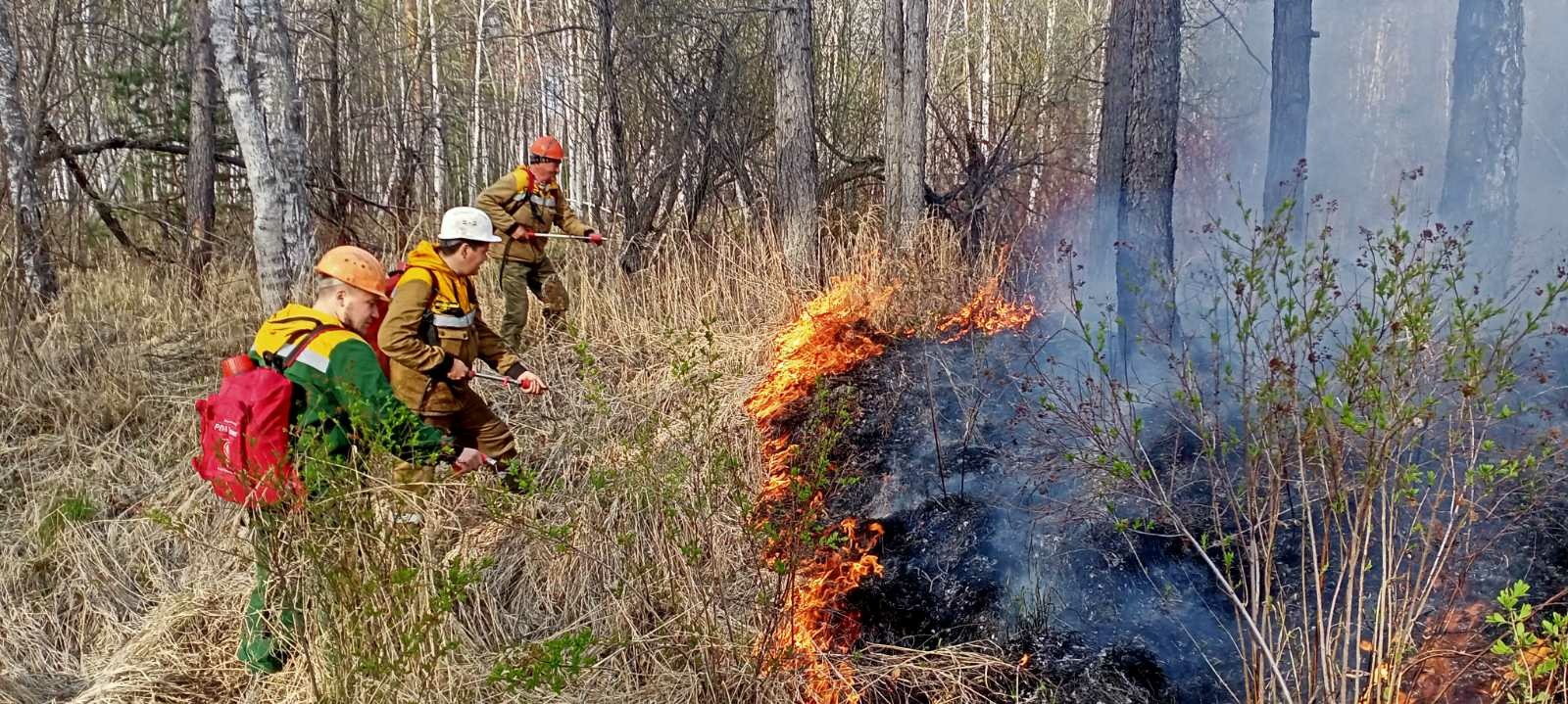 В Бурятии 8 человек оперативно потушили лесной пожар
