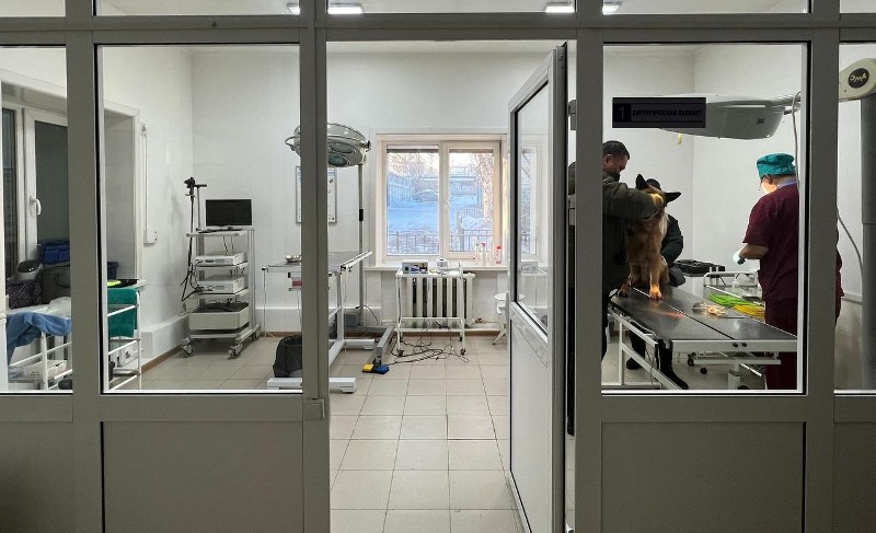 В ветеринарной станции Улан-Удэ появилась экспресс-лаборатория