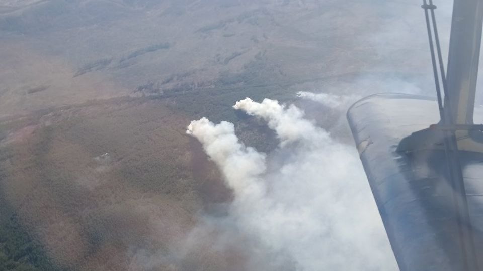 В Бурятии ищут виновника лесного пожара в трех километрах от села