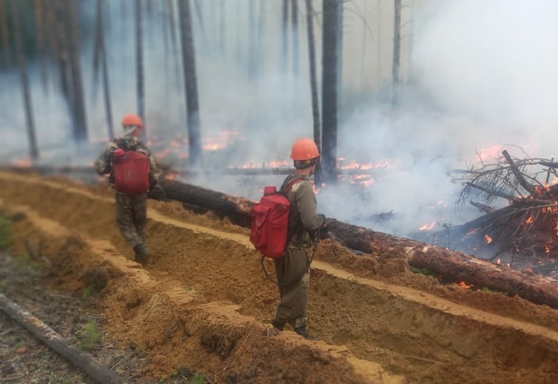 На севере Бурятии из-за сухой грозы возник лесной пожар