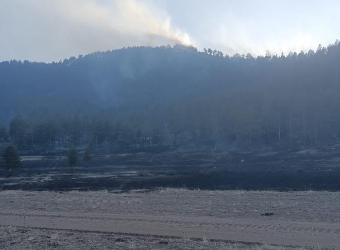 В Бурятии тушат пожар в Курумканском районе