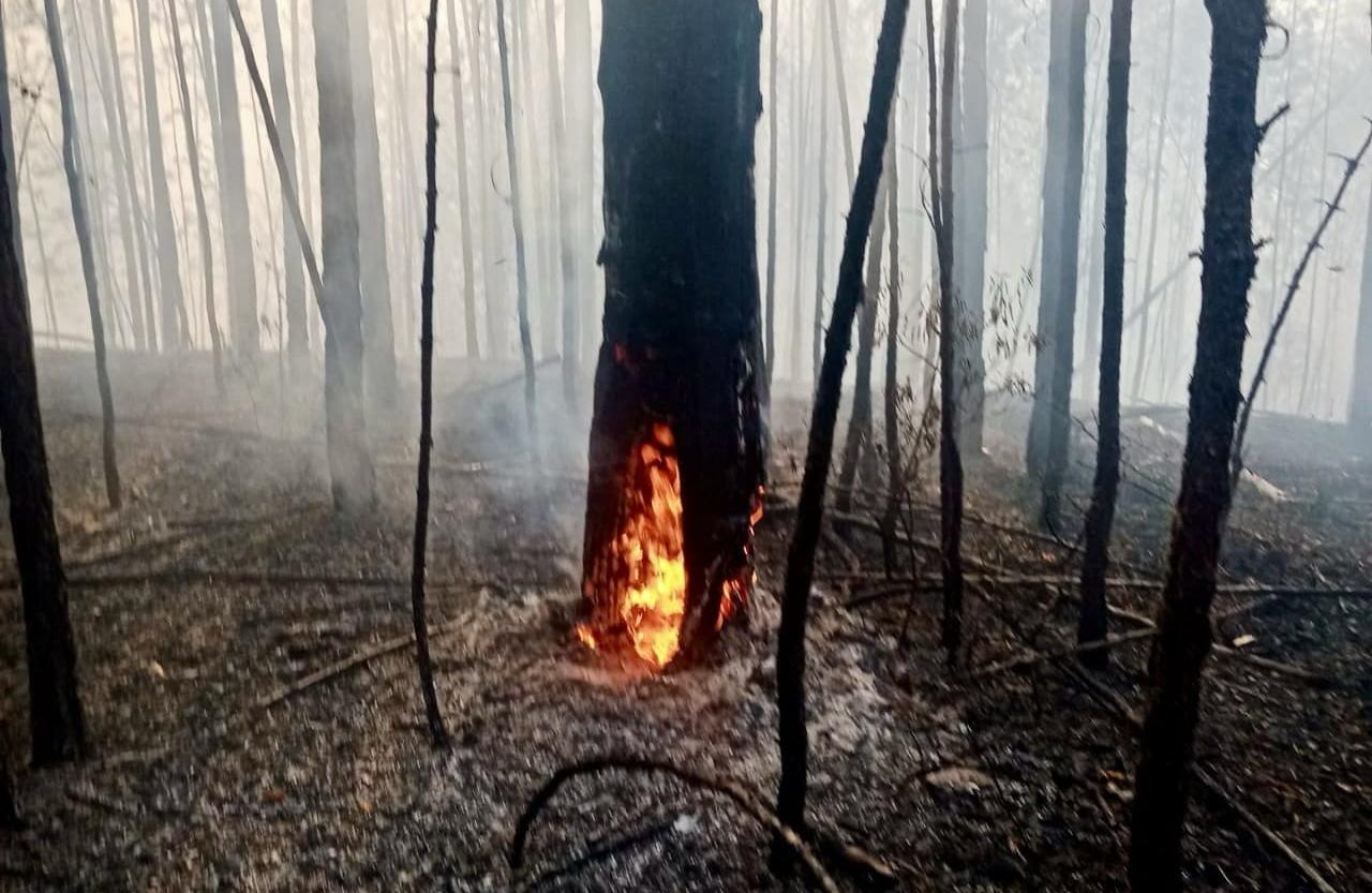 В Бурятии тушат 25 лесных пожаров