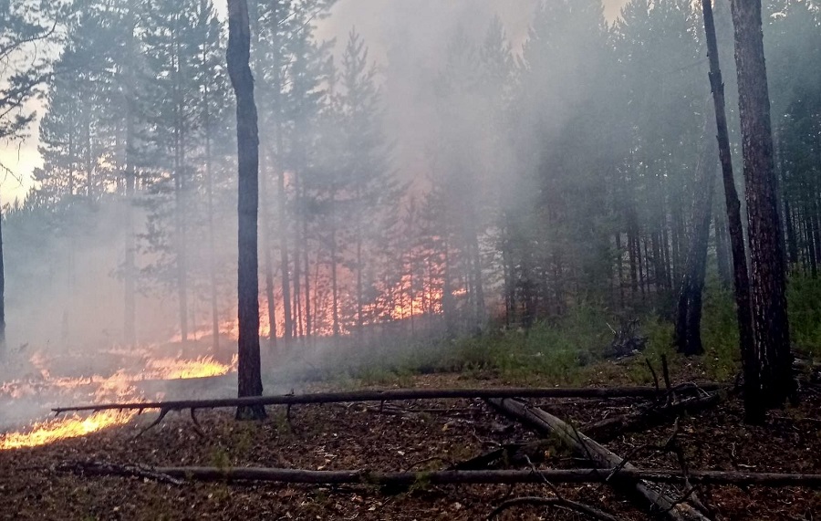Свыше 400 человек тушат лесные пожары в Бурятии