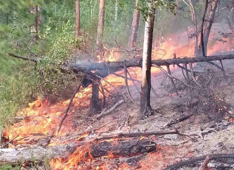 Сложный лесной пожар тушат в Кабанском районе Бурятии