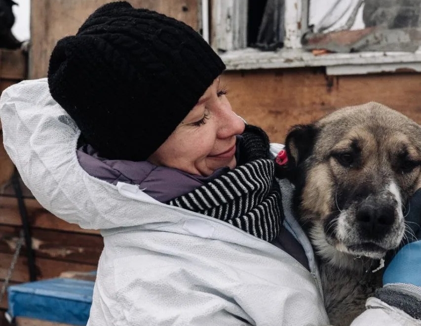 Собак из приюта Бурятии разбирают жители других регионов России