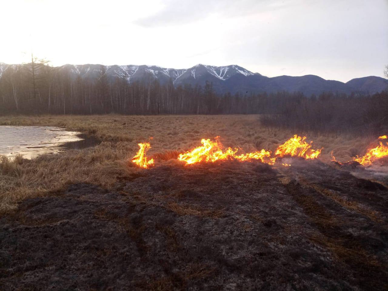 Восемь лесных пожаров обнаружили в Бурятии за сутки