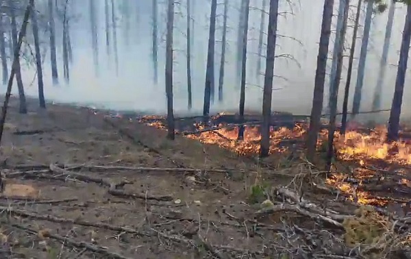 В Бурятии тушат 12 лесных пожаров 