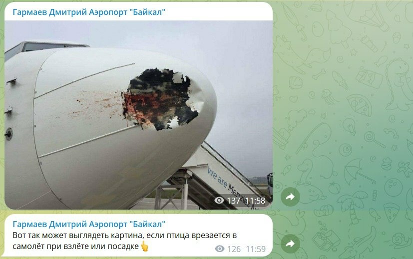 DE3B62DB-9C7F-4E77-B9CF-D0A943E7BF48.jpeg DE3B62DB-9C7F-4E77-B9CF-D0A943E7BF48.jpeg