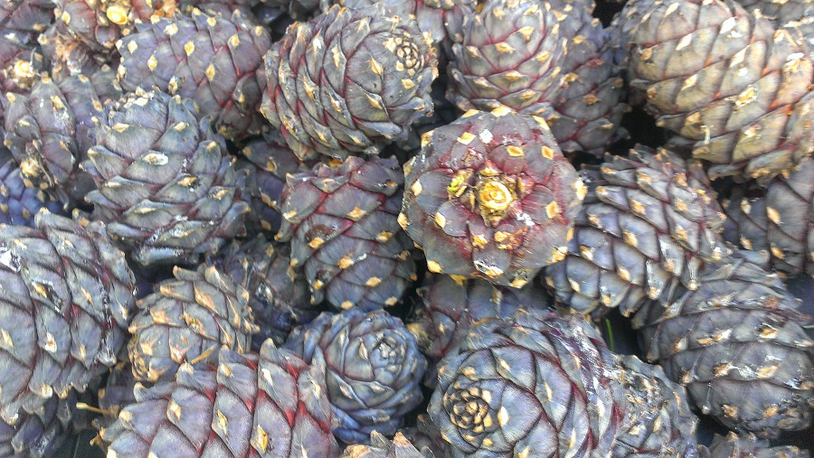 �������� ����� ���� ���.jpg