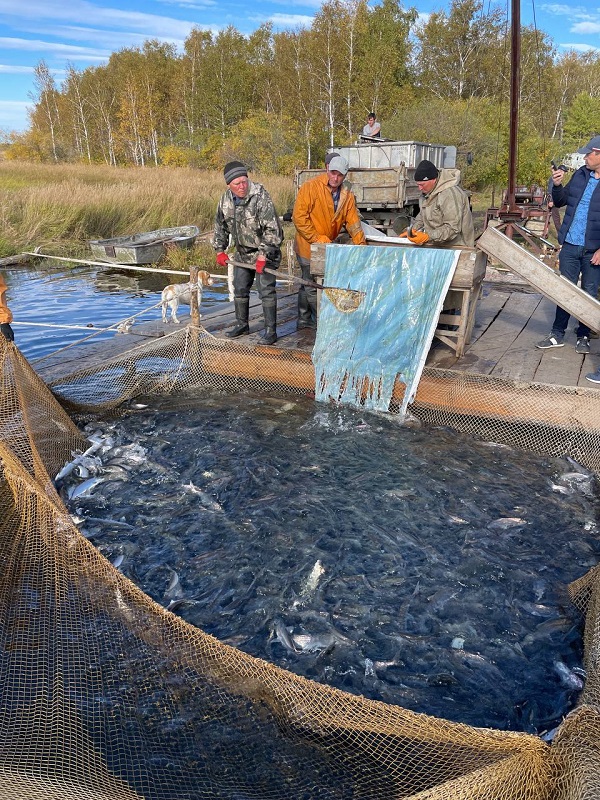 photo_2023-01-18_13-.jpg (1).jpg