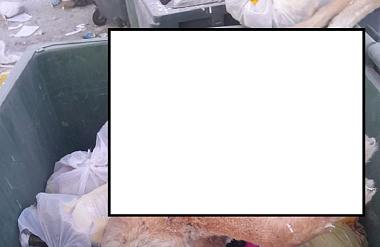 ����, ���� � �����: ��� ����������� � �������� ���������� ������ �������