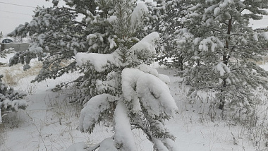 1 ������ ����� �� ������� 44 ������, ���� ��������� �� ����� ����