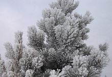 ��������� �������� � ������� � �� �������