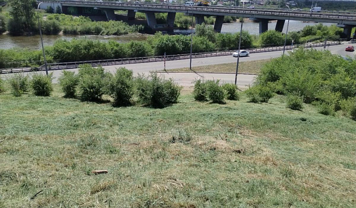 В Улан-Удэ на кошение травы потратят 9 миллионов рублей - новости ...