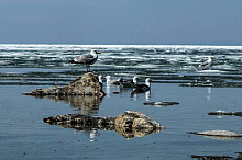 В Бурятии 26 марта до 9 градусов тепла