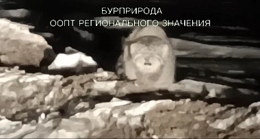 ������ �����: ������������� ����� ����� �� ����� � �������