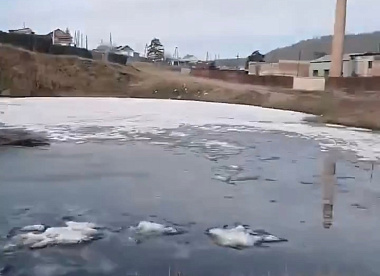 Следователи начали проверку по факту нового «фенольного озера» в Бурятии