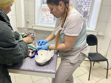 ��� �� ���������� ����� ����� ������ � ������� � �������� ����� ��������