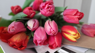 ����� ������� ��������� ������ � 8 �����