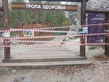 Туристов настоятельно просят не ходить на тропы здоровья из-за медведей