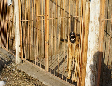 � ������� �� ��� ������� ����� ������ ����������� �����