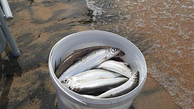 � ������� ���������� ���� � ����� ������������ ������ ����� � ������� ��������� ������� �� ������