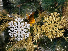 ��� ��������� ������������� ���������� ����, ���������� � �������